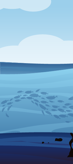 A cross section of the ocean with the ocean floor at the bottom.
